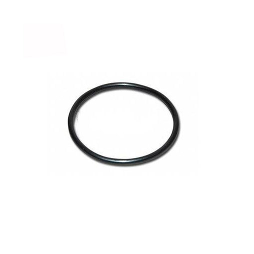 O-Ring 1007500 